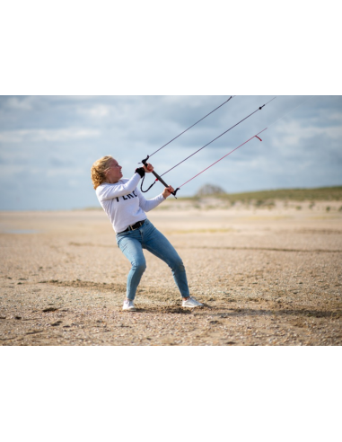 Aitvaras Peter Lynn Impulse TR 2.5