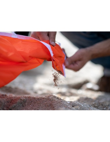 Aitvaras Peter Lynn Impulse TR 2.5