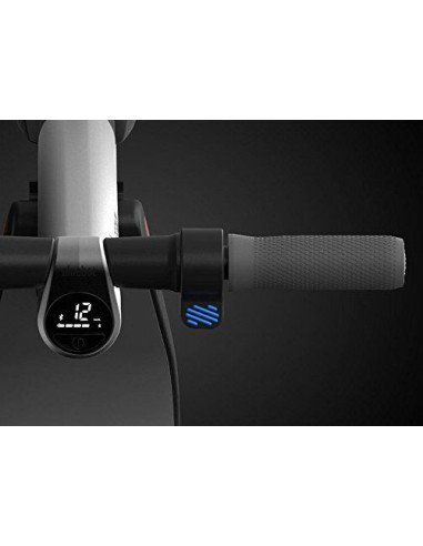 Ninebot by Segway Kickscooter ES2 (Elektrinis paspirtukas )