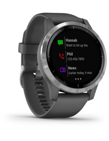Garmin  Vivoactive 4 Silver / Gray band