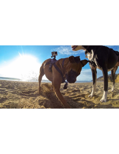 GoPro kameros diržai šuniui Apple - 4