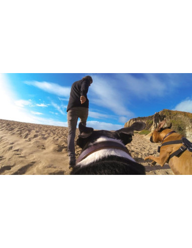 GoPro kameros diržai šuniui Apple - 6