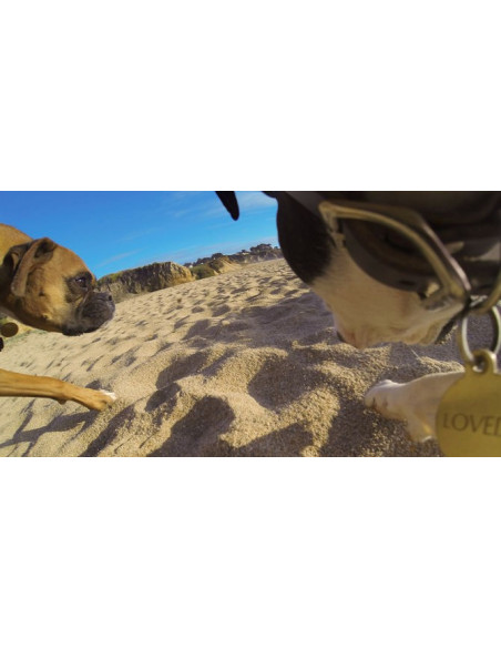 GoPro kameros diržai šuniui Apple - 7