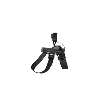 GoPro