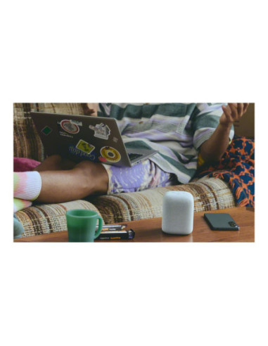 Sony Speaker | SRS-LS1 LinkBuds | Waterproof | Bluetooth | Light Gray | Portable | Wireless connection