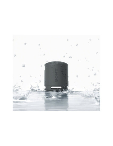 Sony | Speaker | SRS-XB100 | Waterproof | Bluetooth | Wireless connection | Portable | Black