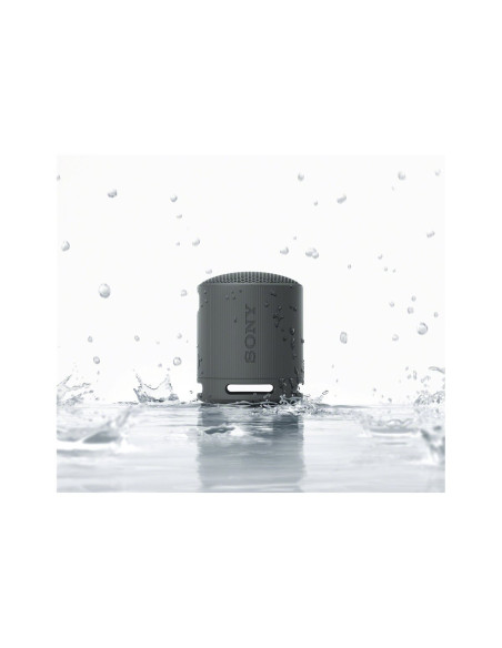 Sony | Speaker | SRS-XB100 | Waterproof | Bluetooth | Wireless connection | Portable | Black