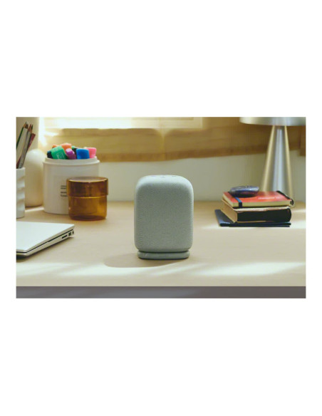 Sony Speaker | SRS-LS1 LinkBuds | Waterproof | Bluetooth | Wireless connection | Portable | Light Gray