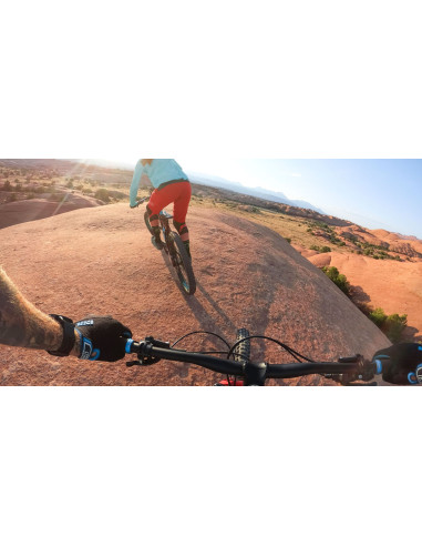 GoPro šarnyrinis laikiklis