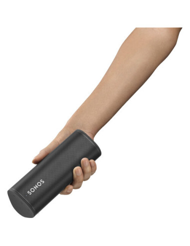 Belaidė kolonėlė Sonos Roam