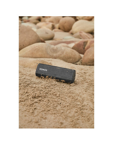 Belaidė kolonėlė Sonos Roam